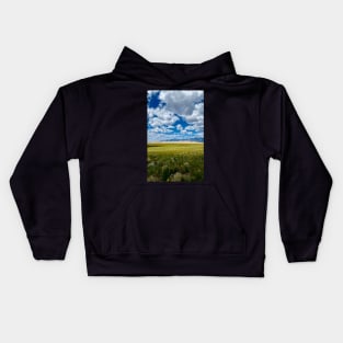 Sand Dunes Colorado Kids Hoodie